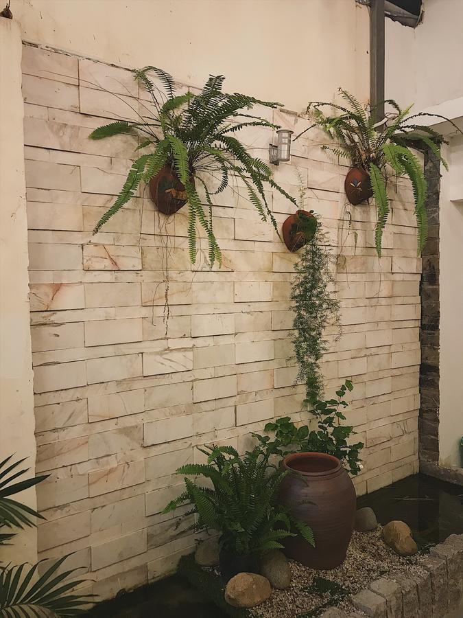 Toto Hostel Danang Exterior photo